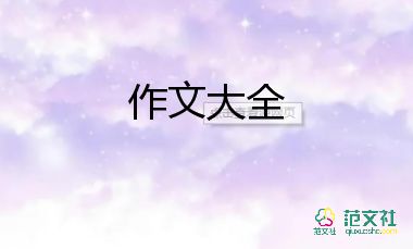 有一種叫作文500字5篇