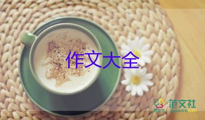 貓的旅行記作文500字通用8篇