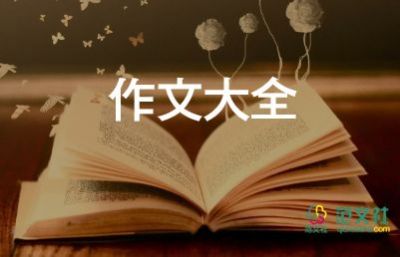 2024年最后20天作文5篇