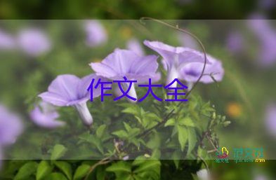 仁愛之星作文8篇
