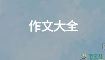 關(guān)于寫年的作文8篇