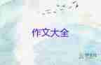 寫物的作文作文400字5篇