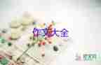 最新關(guān)于長城作文800字范文3篇