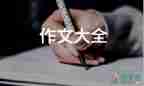 春節(jié)文化作文通用6篇