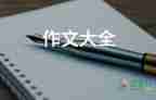 我的畫(huà)像作文500字作文5篇