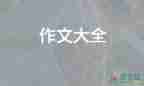 關(guān)于熱門(mén)為夢(mèng)想奮斗的作文范文9篇