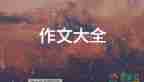 關于字的作文400字精選6篇