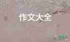 被信任的作文優(yōu)質6篇