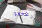 當志愿者作文600字6篇