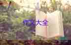 音樂夢作文600字5篇