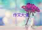 關(guān)于我的未來不是夢優(yōu)秀作文8篇