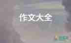 狼作文800字優(yōu)質(zhì)7篇