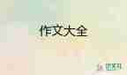 作文的讀后感300字6篇