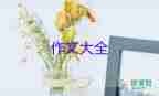 精選關于冬奧會的精神作文參考范文3篇