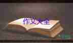 忘不了那句話作文優(yōu)秀6篇