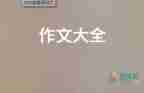 成功的嘗試作文模板5篇