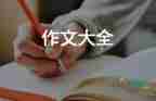 關(guān)于長城主題初中生作文精選3篇