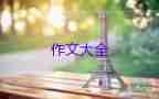 真讓我感動(dòng)小學(xué)生作文8篇