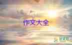 寫夢(mèng)想的作文200字最新6篇