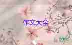 我家的貓作文500字5篇