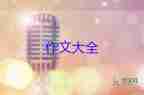 讓自己奔跑起來(lái)作文5篇