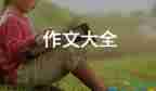 變形計(jì)我是一盞路燈作文600字5篇