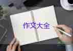 男子酒后找村支書討欠款未果開挖掘機砸死警察被判死刑